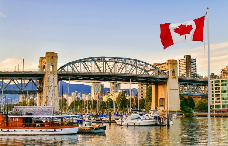 canada work visa consultant