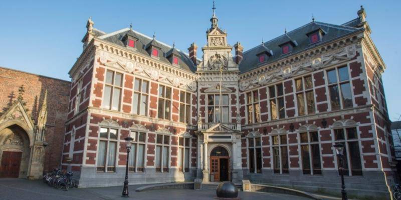 education consultant netherlands