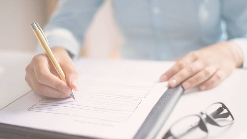 study in New Zealand consultant