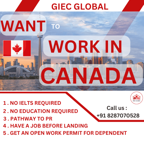 Canada work visa consultant in Delhi