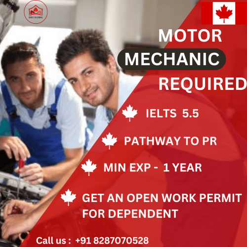 Motor Mechanic Required